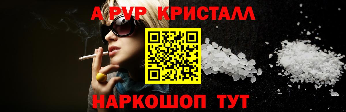 Альфа ПВП СК КРИС Малгобек